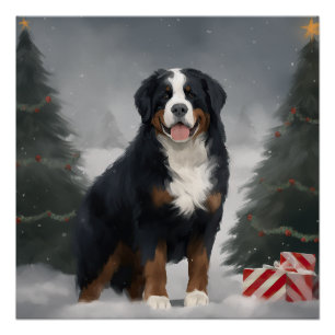 Poster Chien de montagne bernois à Noël de neige