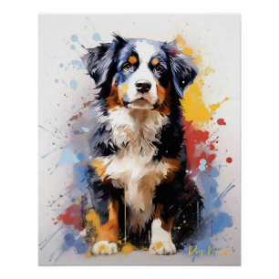 Poster Chien de Montagne Super mignon Bernese 005 - Xeno