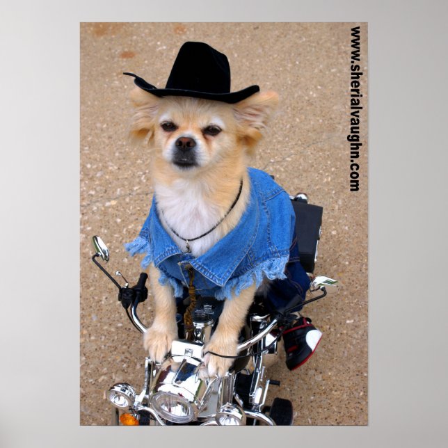 Poster Chien de moto Cowboy (Devant)