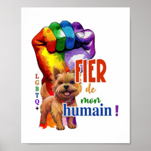 Poster Chien de Norwich Terrier