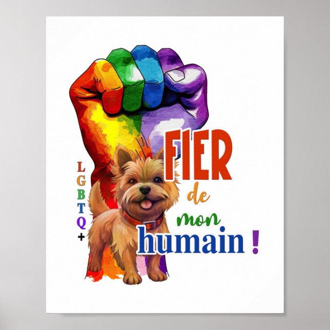Poster Chien de Norwich Terrier (Devant)