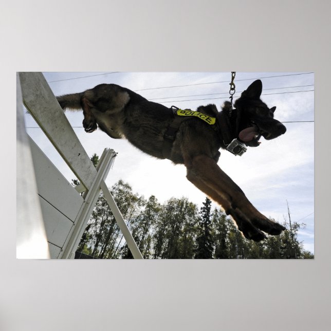 Poster Chien de police berger allemand (Devant)