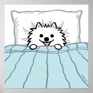 Poster Chien de Poméranie blanc mignon couché dans un lit