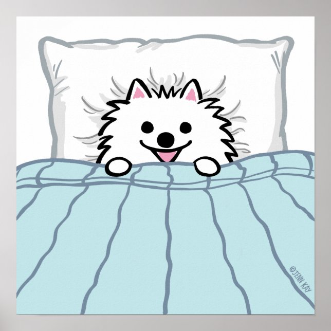 Poster Chien de Poméranie blanc mignon couché dans un lit (Devant)