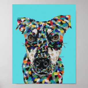 Poster Chien de race mixte