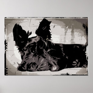 Poster Chien de Scottie se reposant avec l'arrière - plan