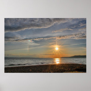 Poster Chien de Sun
