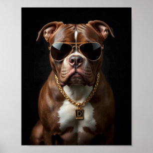 Poster Chien de taureau avec verre de soleil et chaîne d'