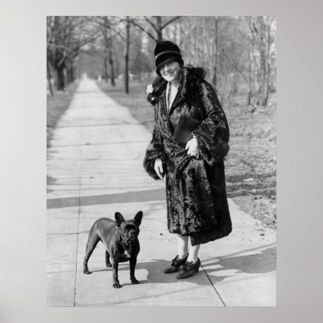 Poster Chien de taureau français, années 1920 (Devant)