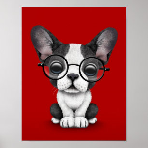 Poster Chien de taureau français mignon avec lunettes, ro