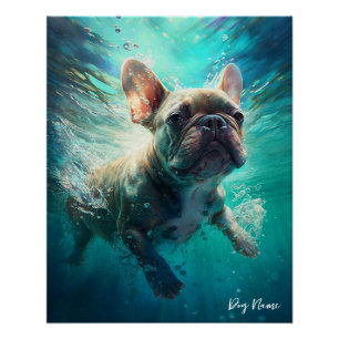 Poster Chien de taureau français nageant dans l'eau 002