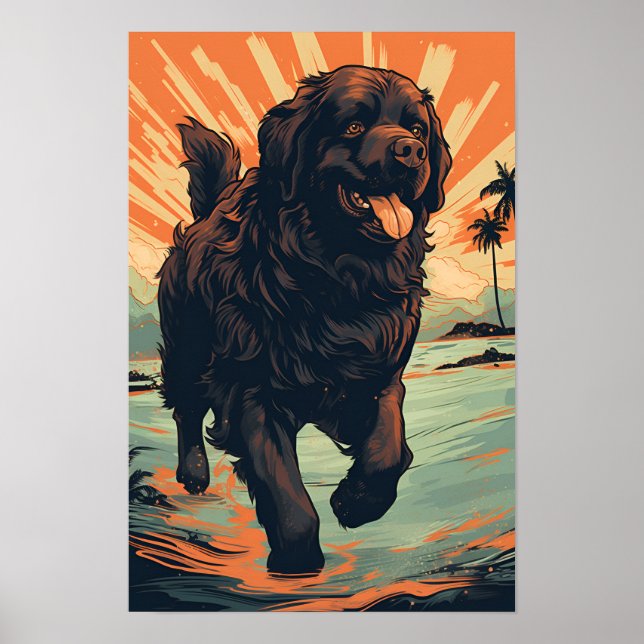 Poster Chien de Terre-Neuve à la plage (Devant)