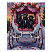 Chien de Terre-Neuve Saint-Valentin 