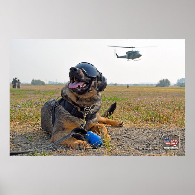 POSTER CHIEN DE TRAVAIL MILITAIRE AMÉRICAIN (Devant)