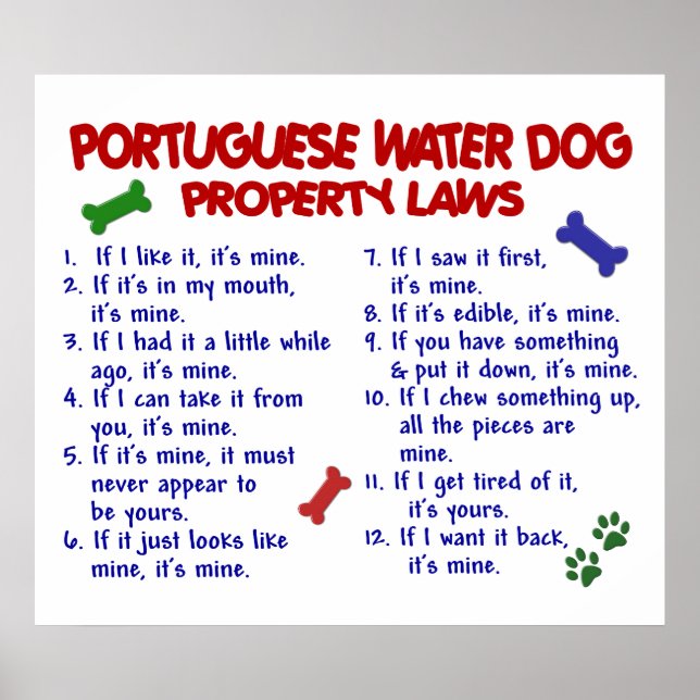 POSTER CHIEN D'EAU PORTUGAIS PL2 (Devant)