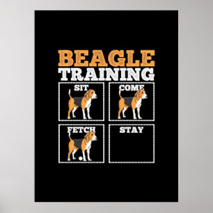 Poster Chien d'entraînement beagle