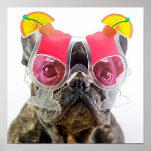 Poster Chien des images   de Getty avec des verres de