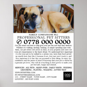 Poster Chien détendu, Animaux de compagnie service public