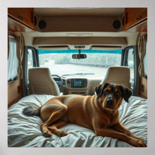 Poster Chien dormant à l'intérieur d'un camping-car confo