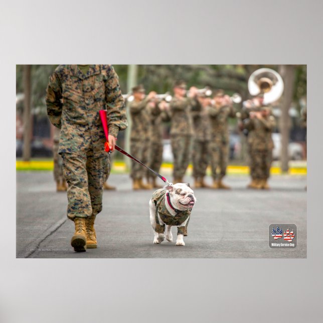 POSTER CHIEN DU SERVICE MILITAIRE AMÉRICAIN (Devant)
