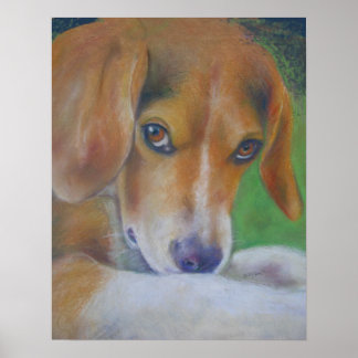 Poster Chien écarlate : yeux