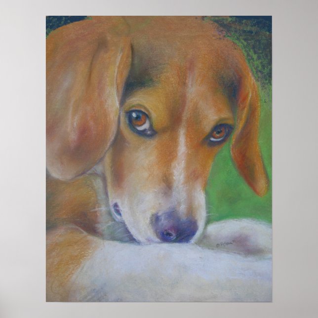 Poster Chien écarlate : yeux (Devant)