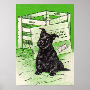 Poster Chien écossais par livraison spéciale