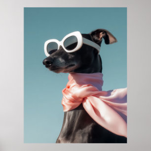 Poster Chien élégant avec lunettes de soleil écharpe