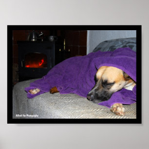 Poster Chien endormi près de la cheminée