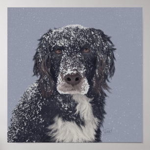 Poster Chien espagnol mixer portrait animal de compagnie