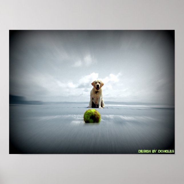 Poster Chien et balle (Devant)