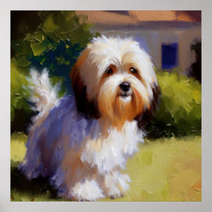 Poster Chien Havanais