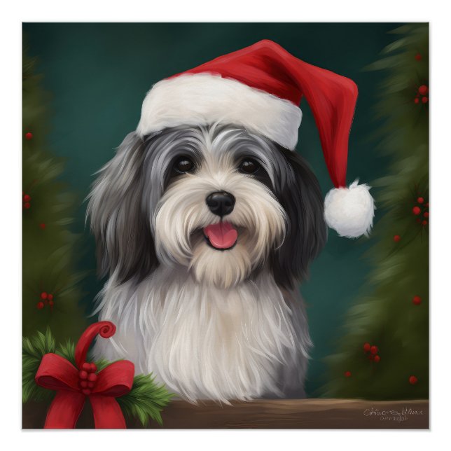 Poster Chien Havanais en Noël de neige (Devant)