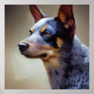 Poster Chien Heeler bleu
