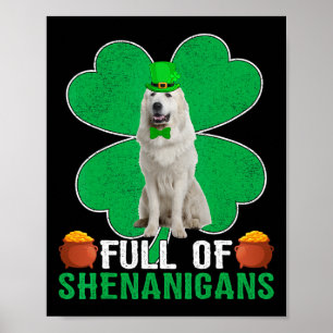 Poster Chien irlandais des Grands Pyrénées plein de bêtis