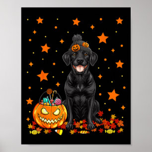 Poster Chien Labrador Noir Et Bonbon Citrouille Drôle