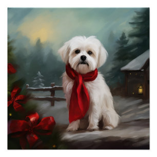 Poster Chien maltais à Noël de neige