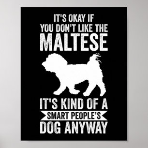 Poster Chien Maltais Juste Un Garçon Qui Aime Les Maltais