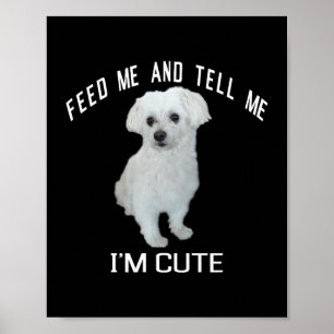 Poster Chien Maltais mignon Chien Maltais Drôle Citation 