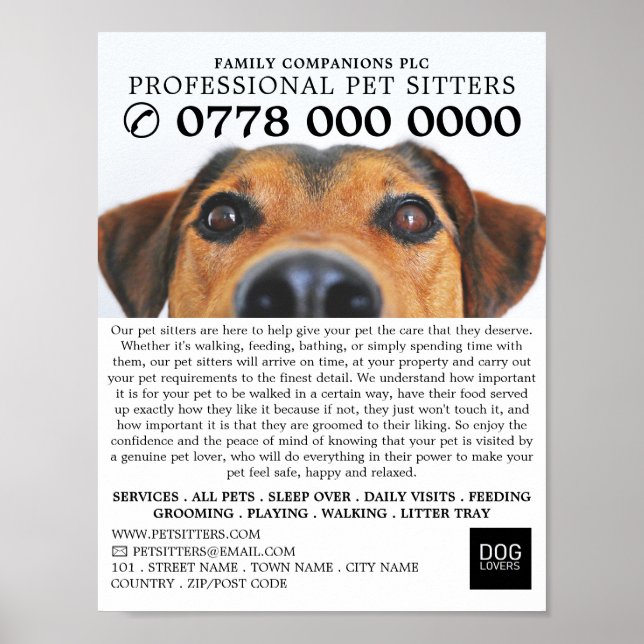 Poster Chien mignon, Service de pose d'animaux Publicité (Devant)