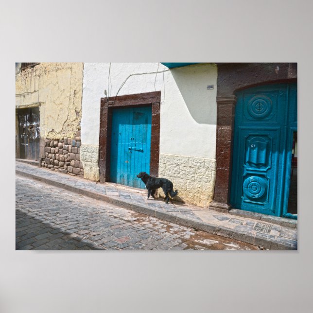 Poster Chien noir à Cusco, Pérou (Devant)