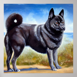 Poster Chien noir norvégien Elkhound