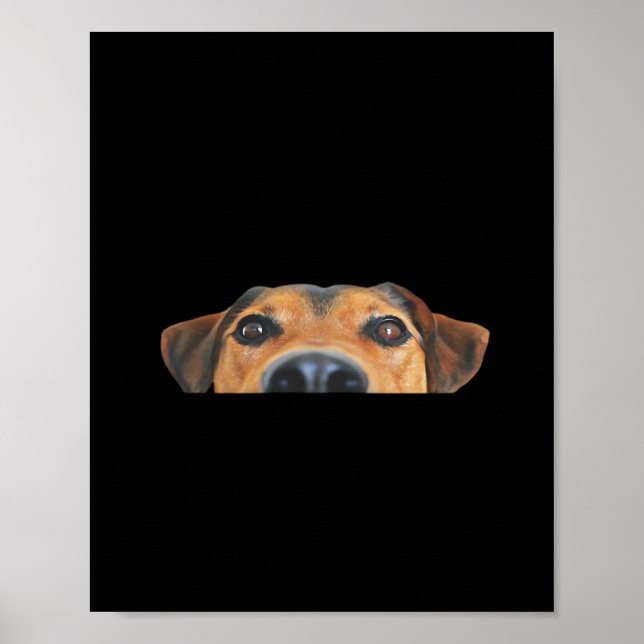 Poster Chien Peekaboo (Devant)
