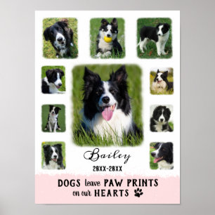 Poster Chien Photo personnalisée Collage de bordures fané