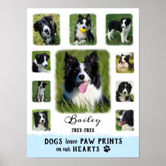 Poster Chien Photo personnalisée Collage des bordures fan