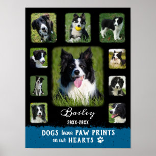 Poster Chien Photo personnalisée Collage des bordures fan