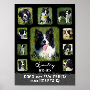 Poster Chien Photo personnalisée Collage des bordures fan