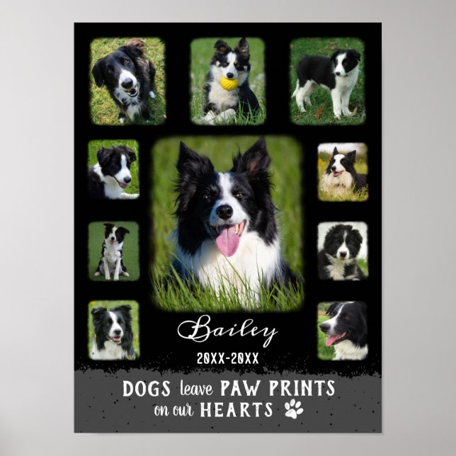 Poster Chien Photo personnalisée Collage des bordures fan (Devant)