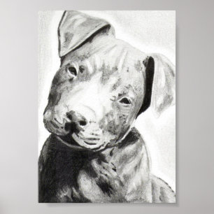 Poster Chien Pitbull au crayon imprimé par Jacob Grimm