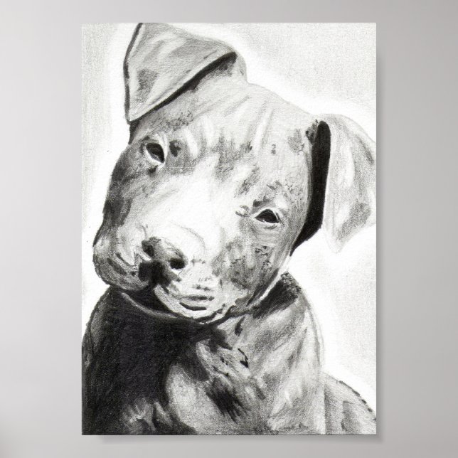 Poster Chien Pitbull au crayon imprimé par Jacob Grimm (Devant)